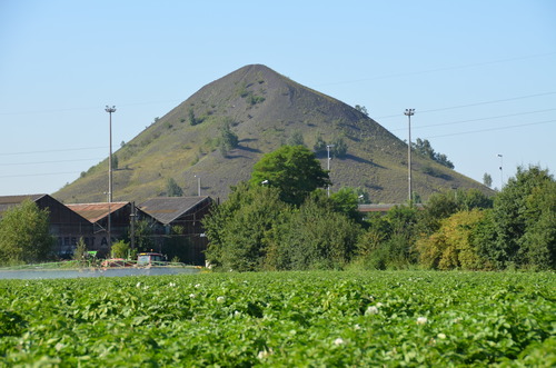 Le terril Ste Henriette