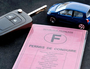 Permis de conduire / Carte grise